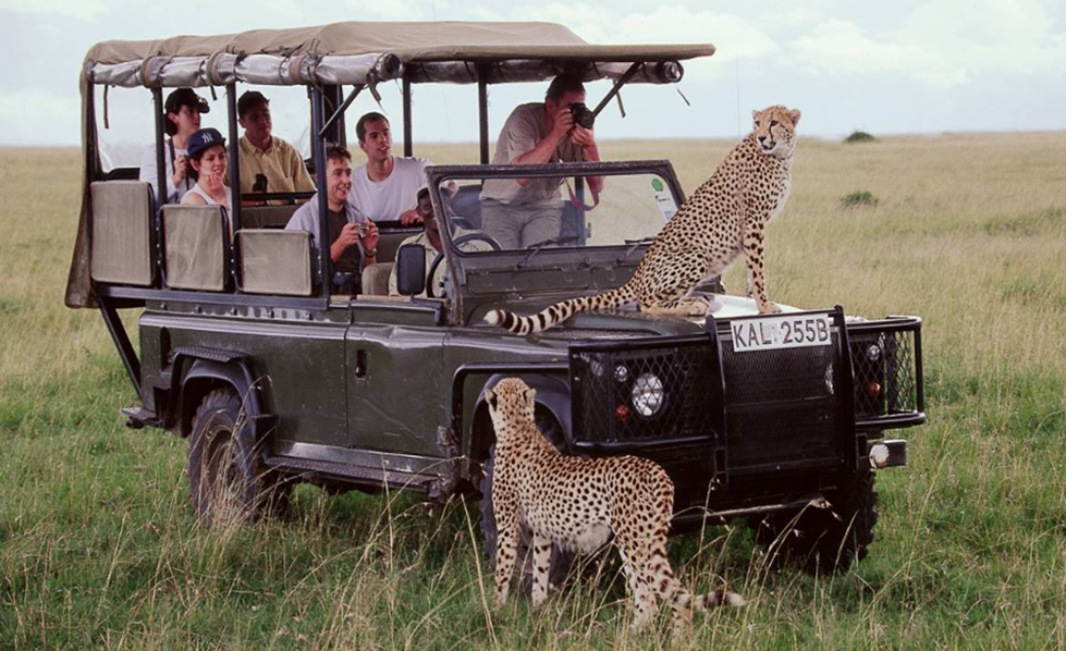 Types of Safaris in the Masai Mara
