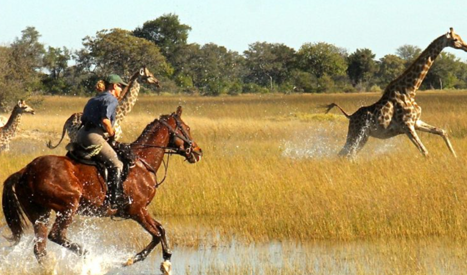 Types of Safaris in the Masai Mara
