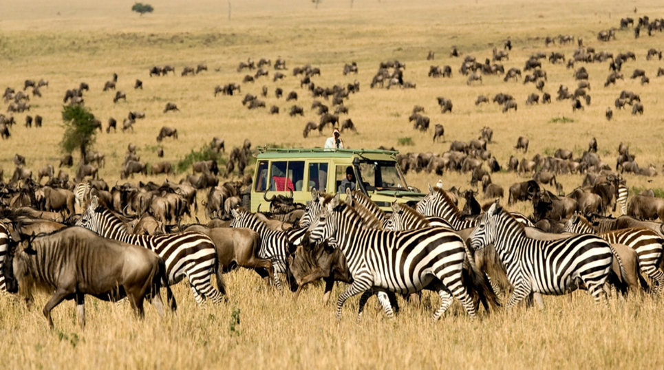 Types of Safaris in the Masai Mara