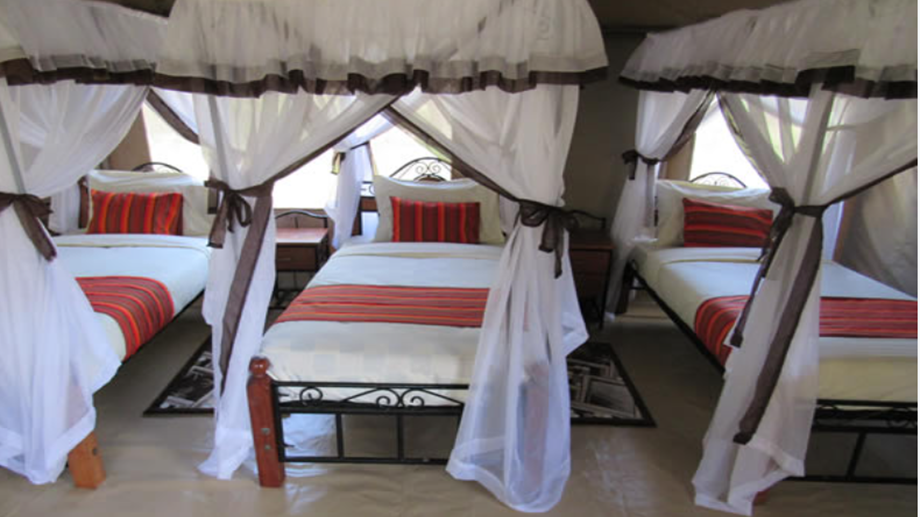 accommodation options in Masai Mara