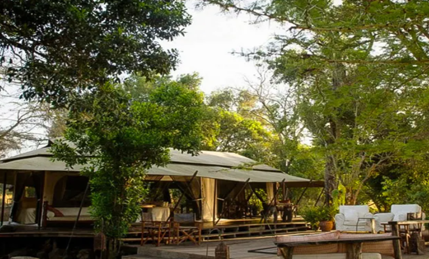 accommodation options in Masai Mara
