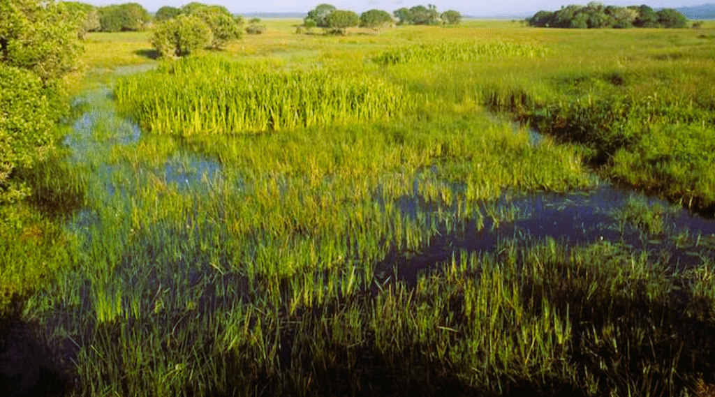 Kruger National Park