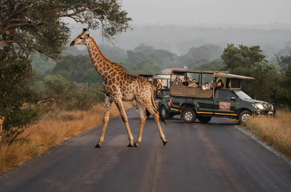 Kruger National Park