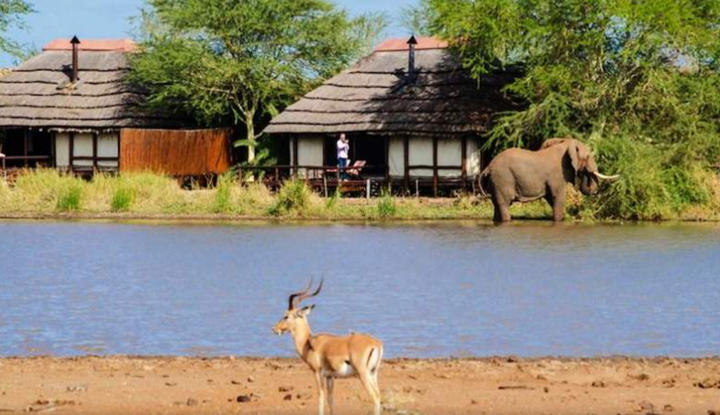 Kruger National Park