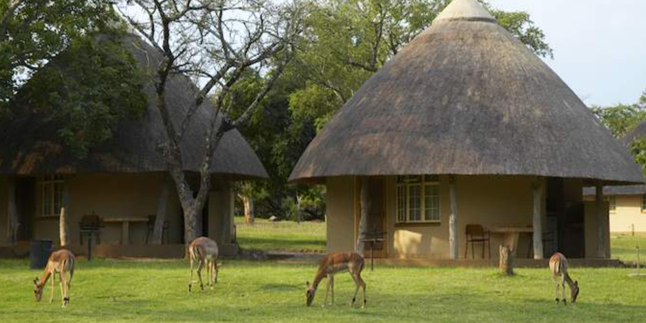 Kruger National Park