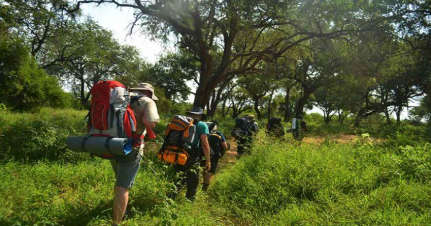 Kruger National Park