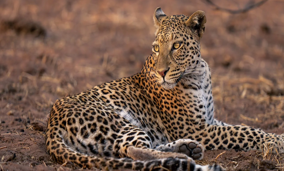 Kruger National Park