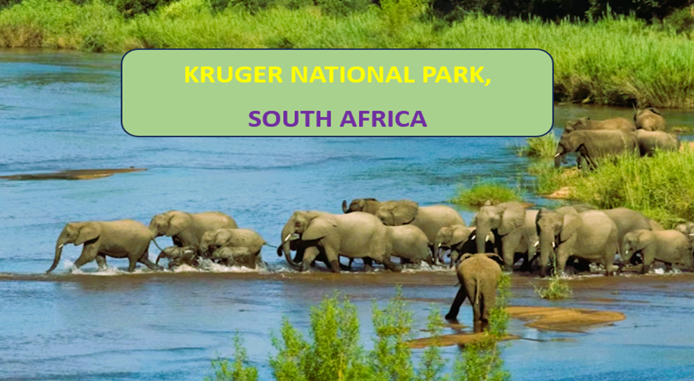 Kruger National Park