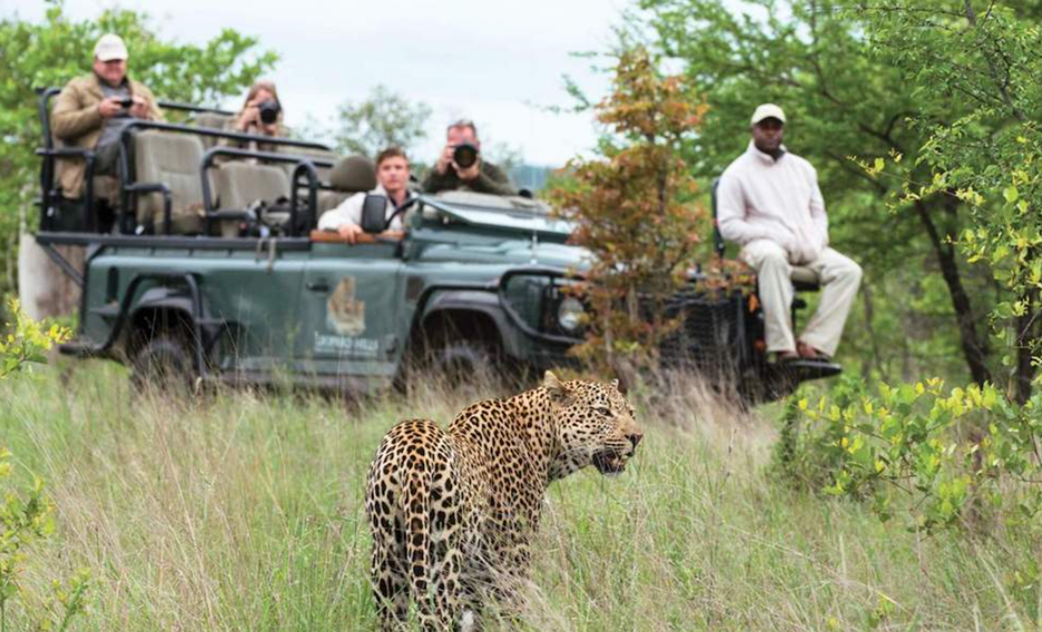 Guided tours in Kruger National Park