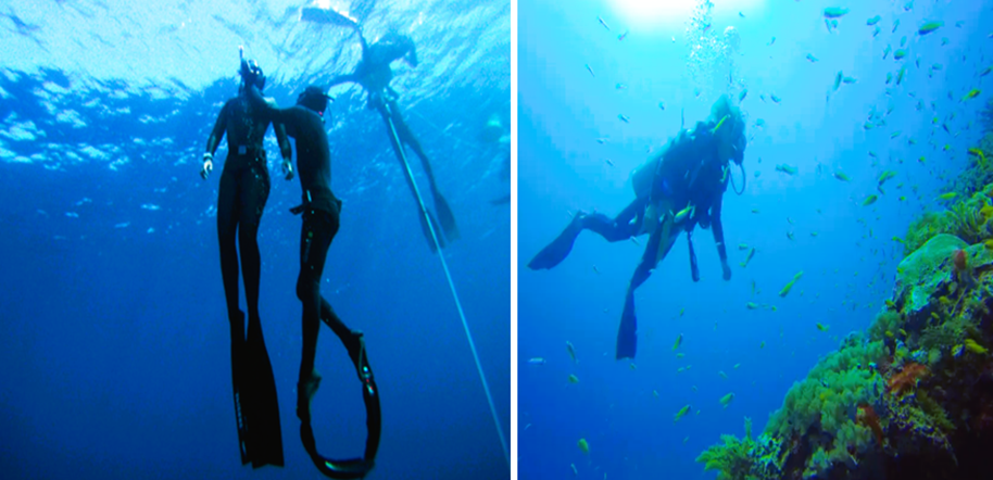 Scuba Diving – Dahab (Egypt), Zanzibar (Tanzania)