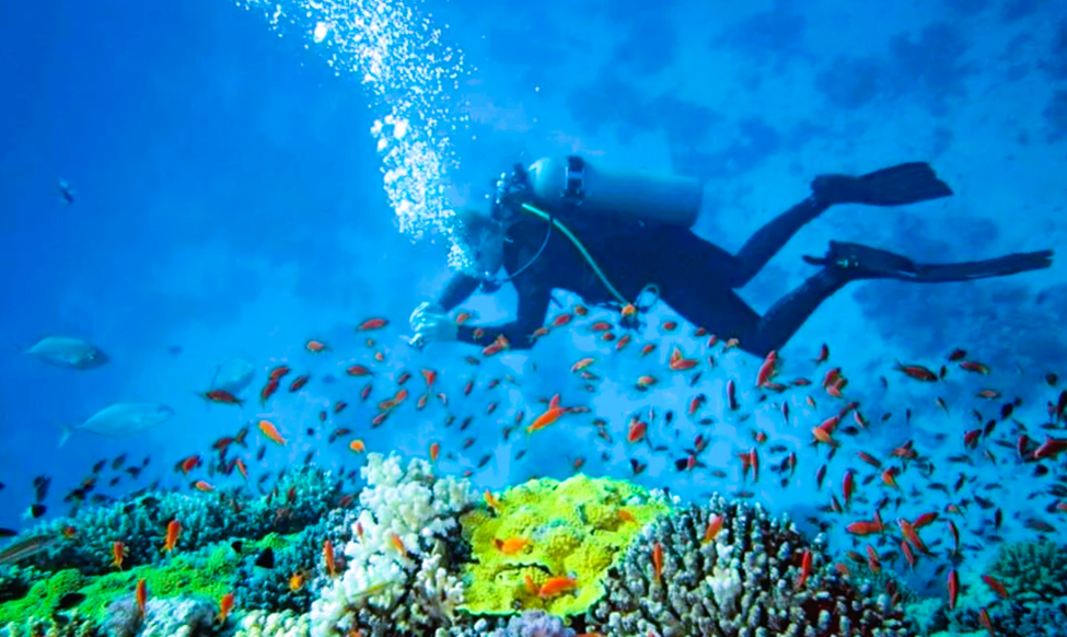 Snorkeling and Scuba Diving