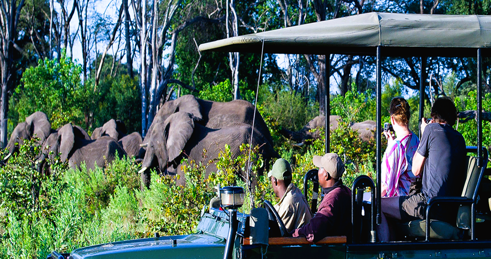 Classic Game Drives