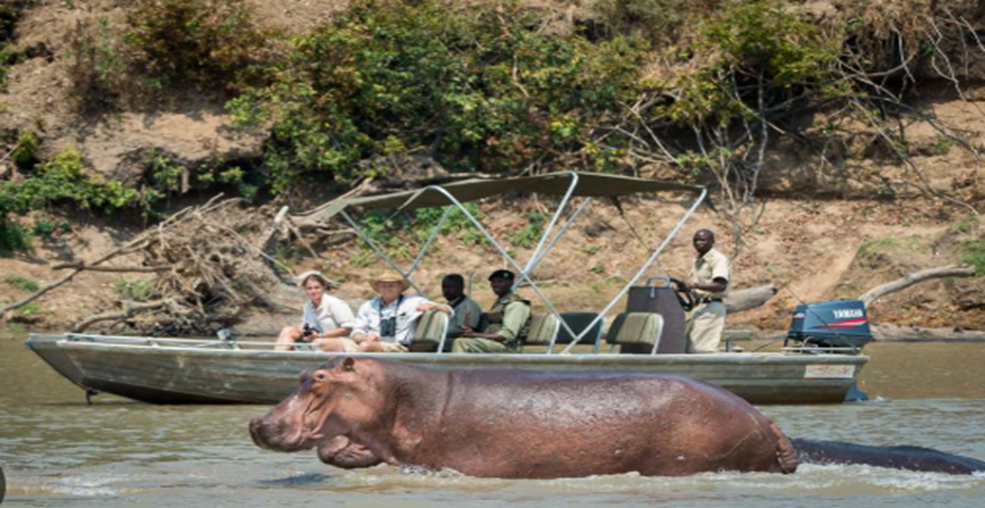 Boat Safaris