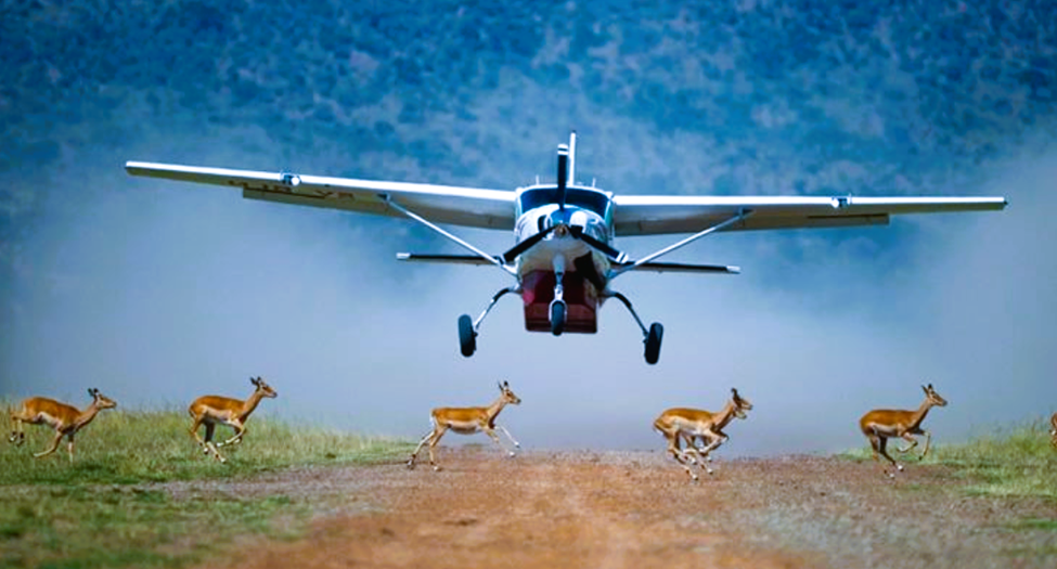Luxury Fly-in Safaris