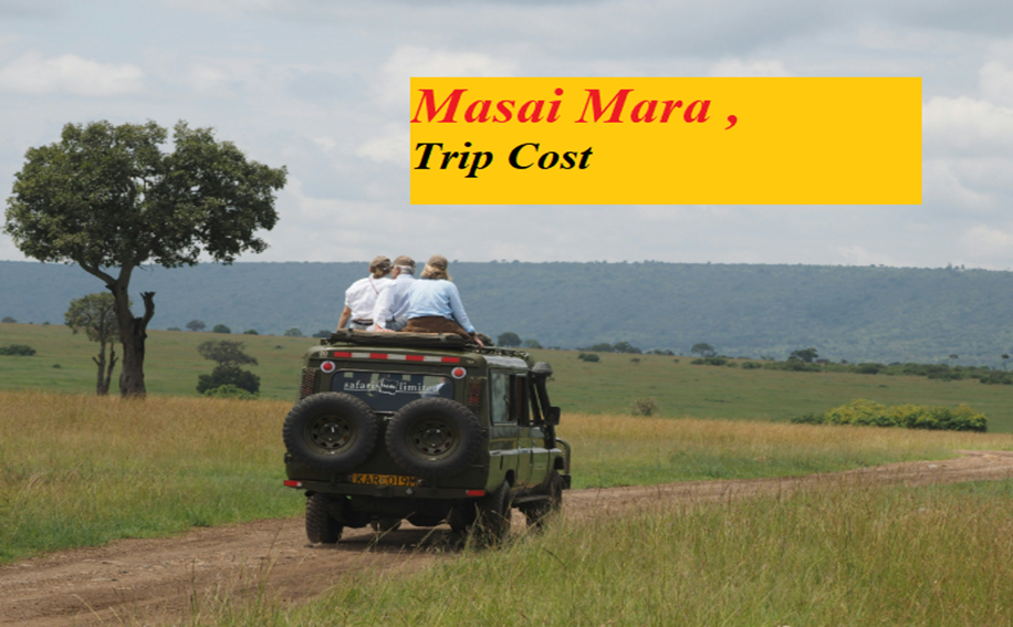 Masai Mara trip cost
